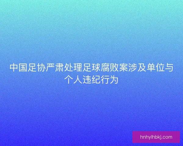 中国足协严肃处理足球腐败案涉及单位与个人违纪行为